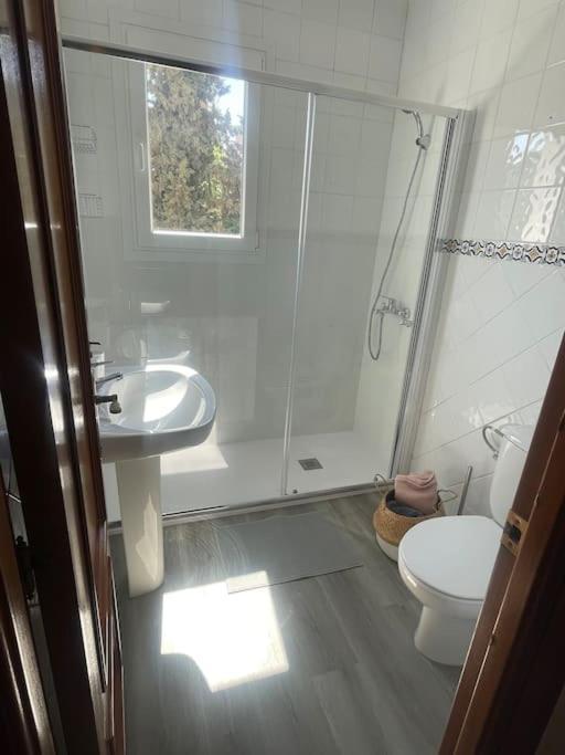 Exclusive Apartamento Limonar Málaga Eksteriør bilde